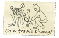 Co piszczy w trawie? - szkolenia dla nauczycieli