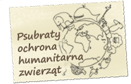 Psubraty - ochrona humanitarna zwierząt